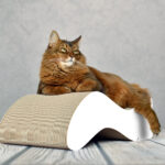 Kabou XL Design Kratzbaum