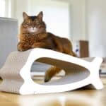 La Baleine Design Kratzbaum