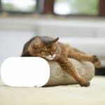 La Banquette Kratzbrett