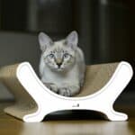 Le Panier Kratzmöbel