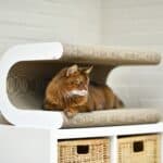 Le Tonneau XL Design Kratzbaum