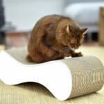 Le Ver L Design-Kratzbaum