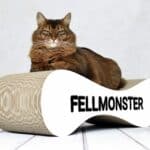 Le Ver Fellmonster