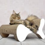 Molecular Fauteuil Design Kratzbaum