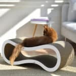 Singha L Design Kratzmöbel