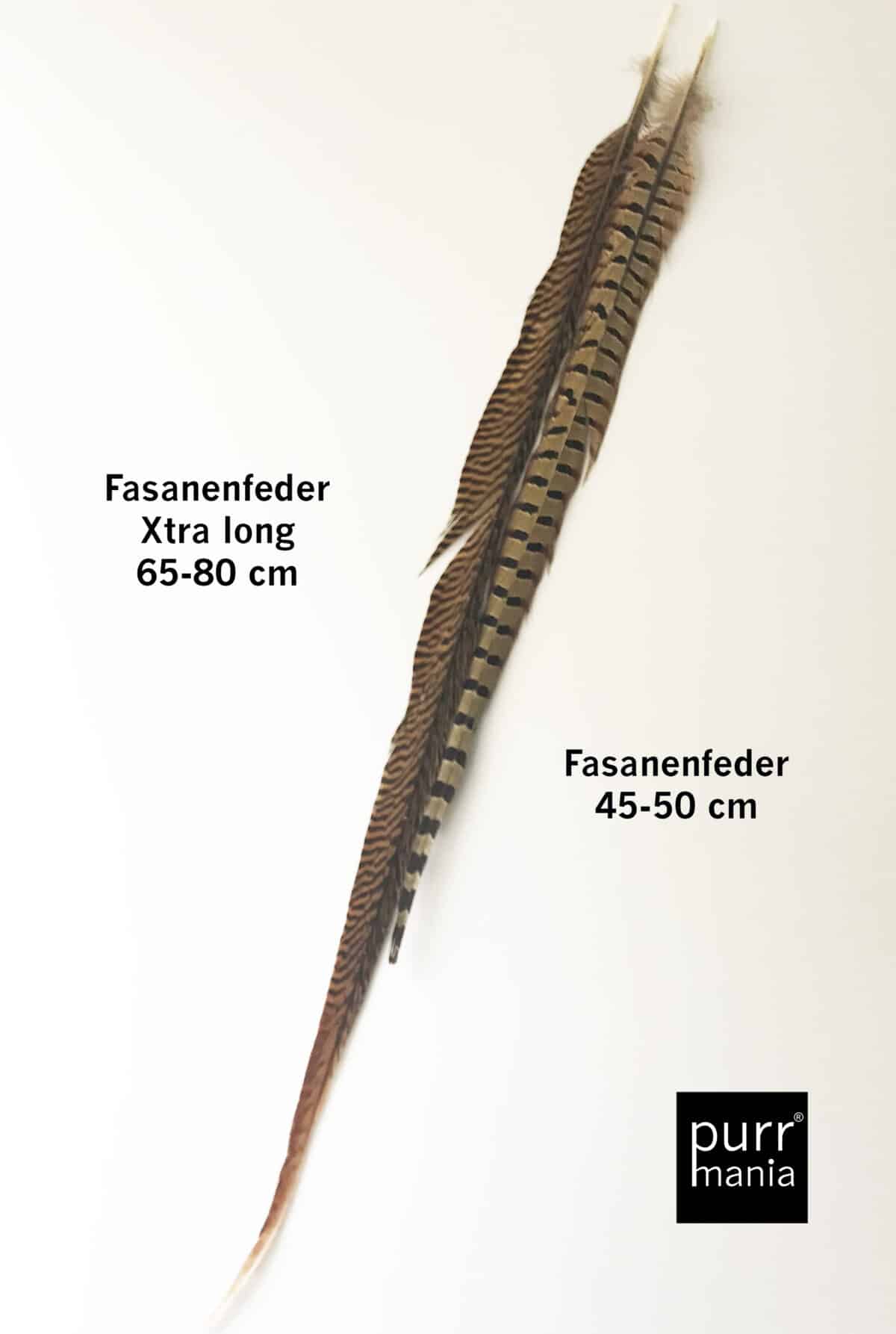 Fasanenfeder xtra long – Bild 2