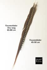 Fasanenfeder xtra long – Bild 2