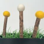 bud (Matatabi + Filz)