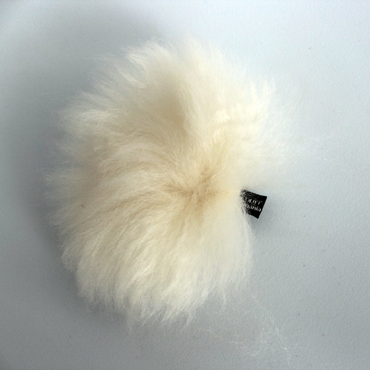 mr. fluff – Bild 2